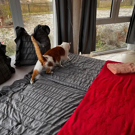 Katersuite Apartment Grossschoenau