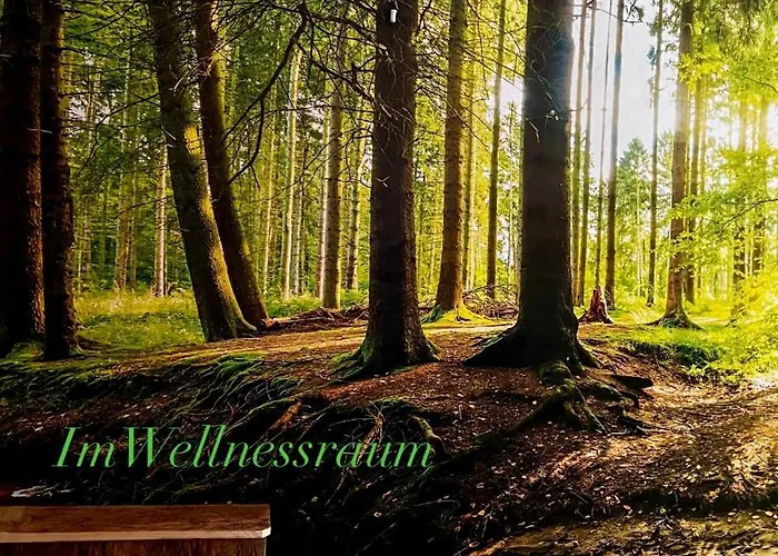 Katersuite غروسشوناو