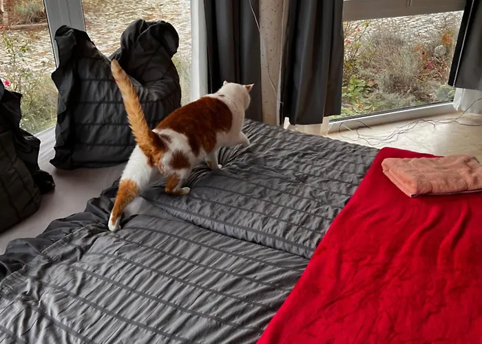 Katersuite شقة غروسشوناو