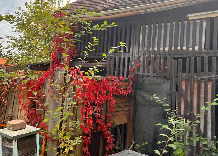 Katersuite شقة غروسشوناو